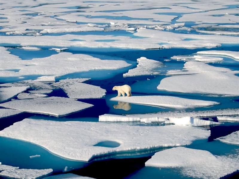 Ρεκόρ υψηλής θερμοκρασίας στην Αρκτική - Στους 38 βαθμούς Κελσίου το θερμόμετρο 