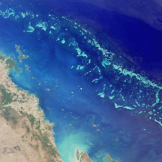 Απίστευτο θέαμα: 64.000 χελώνες στον Μεγάλο Κοραλλιογενή Ύφαλο