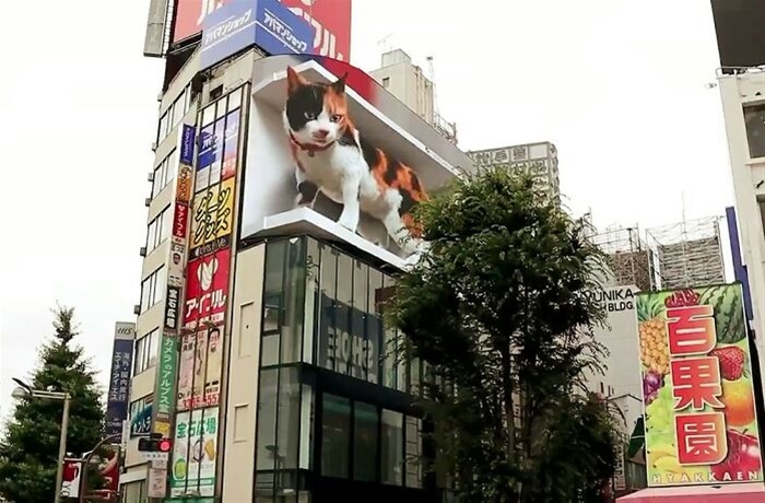 Τρισδιάστατη γάτα «τρύπωσε» στις διαφημιστικές πινακίδες στο Τόκιο
